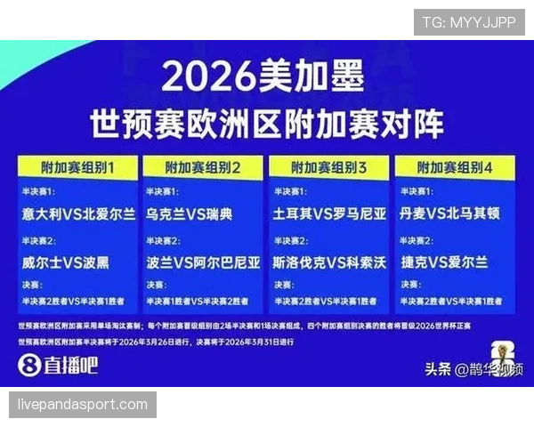 波黑2026世界杯晋级之路分析 阵容短板与突围关键